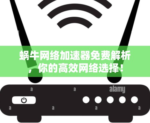 蜗牛网络加速器免费解析，你的高效网络选择！