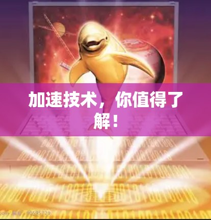 加速技术，你值得了解！