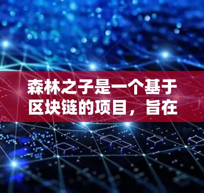 森林之子是一个基于区块链的项目，旨在通过协作加速开发和测试。以下是对该项目的详细介绍