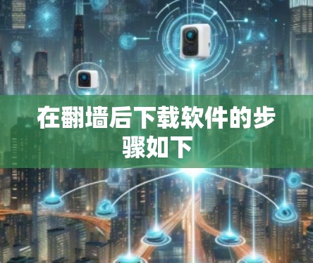 在翻墙后下载软件的步骤如下