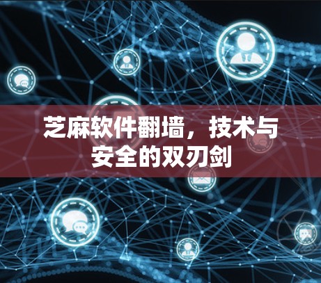 芝麻软件翻墙，技术与安全的双刃剑