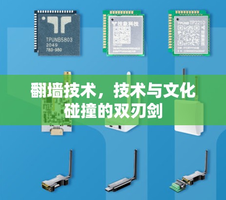 翻墙技术，技术与文化碰撞的双刃剑