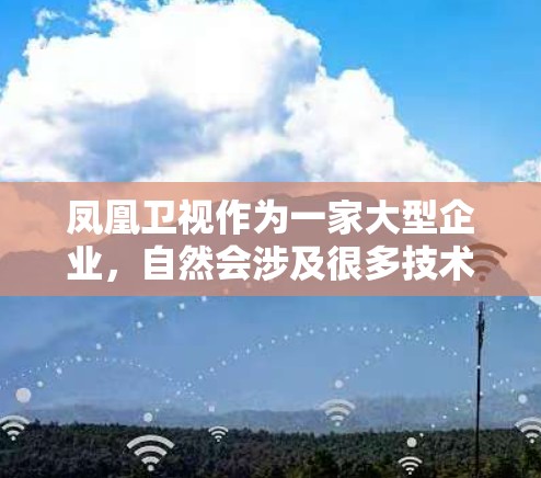凤凰卫视作为一家大型企业，自然会涉及很多技术问题，包括网站管理和网络设备的管理。如果凤凰卫视使用过翻墙软件，可能是因为他们遇到了访问网站时需要跳转到另一端的服务器的问题，或者想要优化网站性能