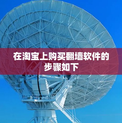 在淘宝上购买翻墙软件的步骤如下