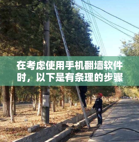 在考虑使用手机翻墙软件时，以下是有条理的步骤和建议